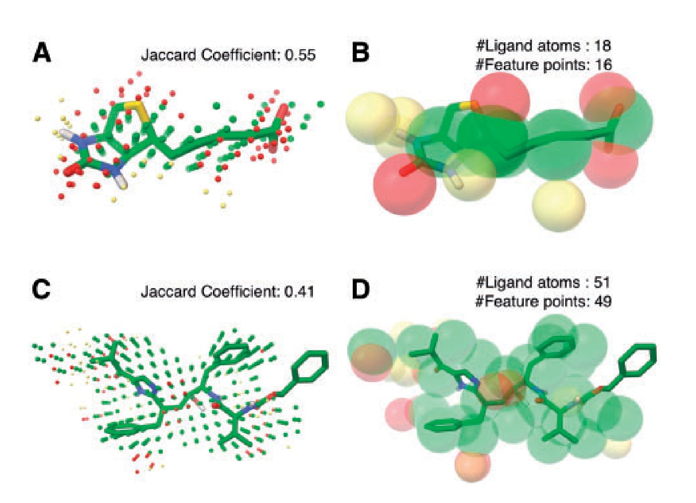 Four panels showing green stick ligands among scattered coloured points, and the same ligands overlaid with large translucent spheres marking predicted feature points.
