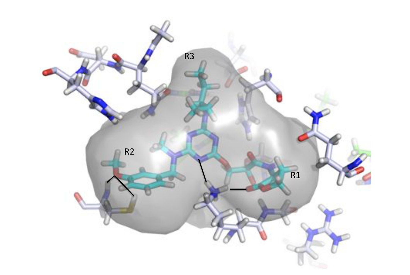 A designed inhibitor in cyan sticks inside a translucent grey molecular envelope, surrounded by pale receptor residues, with attachment points labelled.